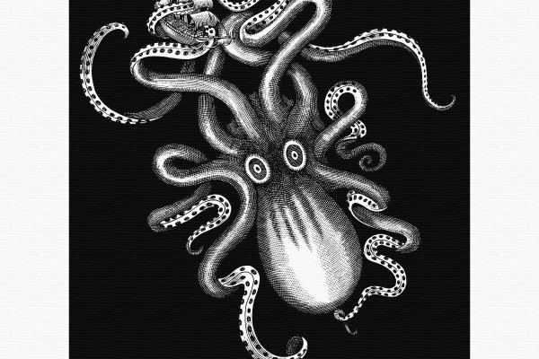 Kraken верификация